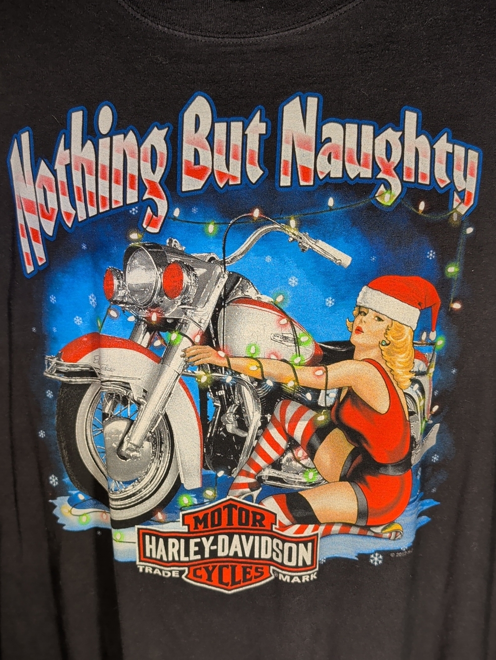 Harley-Davidson Black 2012 Holiday Print - Picture 3 of 10